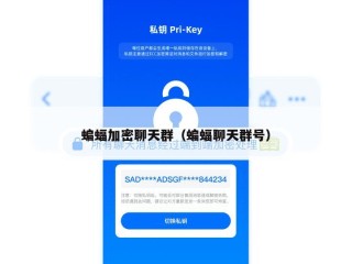 蝙蝠加密聊天群（蝙蝠聊天群号）
