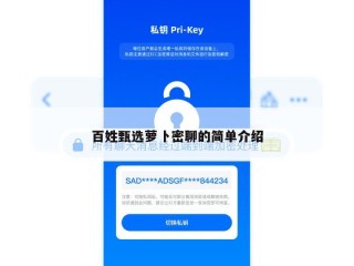 百姓甄选萝卜密聊的简单介绍