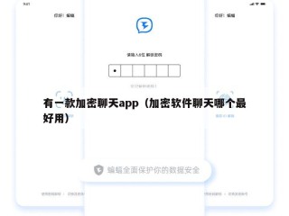 有一款加密聊天app（加密软件聊天哪个最好用）