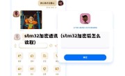 stm32加密通讯（stm32加密后怎么读取）