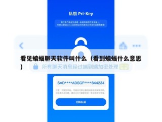看见蝙蝠聊天软件叫什么（看到蝙蝠什么意思）