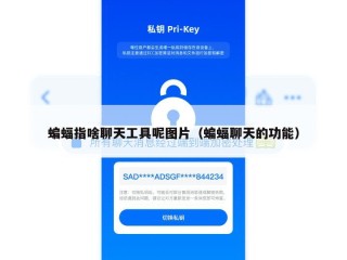 蝙蝠指啥聊天工具呢图片（蝙蝠聊天的功能）