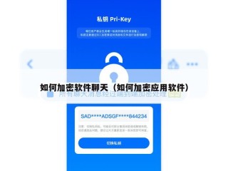 如何加密软件聊天（如何加密应用软件）