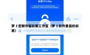 萝卜密聊诈骗彩票工作室（萝卜软件里面的彩票）