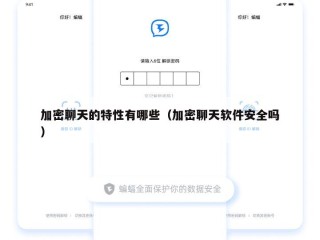 加密聊天的特性有哪些（加密聊天软件安全吗）