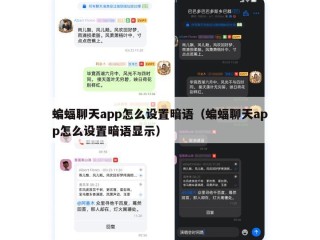 蝙蝠聊天app怎么设置暗语（蝙蝠聊天app怎么设置暗语显示）