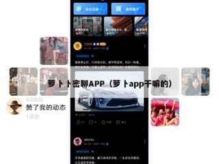 萝卜卜密聊APP（萝卜app干嘛的）