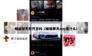 蝙蝠聊天软件百科（蝙蝠聊天app是什么）