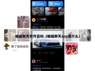 蝙蝠聊天软件百科（蝙蝠聊天app是什么）