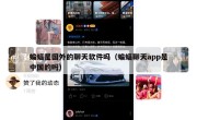 蝙蝠是国外的聊天软件吗（蝙蝠聊天app是中国的吗）