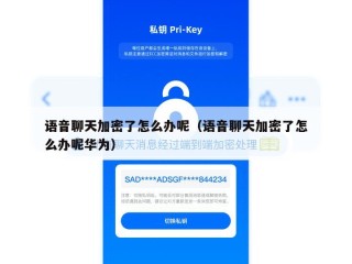 语音聊天加密了怎么办呢（语音聊天加密了怎么办呢华为）