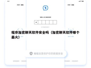 程序加密聊天软件安全吗（加密聊天软件哪个最火）
