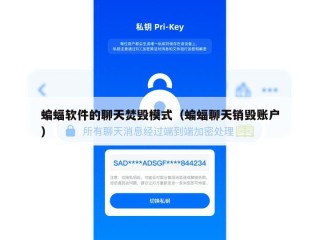蝙蝠软件的聊天焚毁模式（蝙蝠聊天销毁账户）
