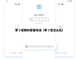 萝卜密聊的客服电话（萝卜密怎么吃）