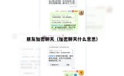 朋友加密聊天（加密聊天什么意思）