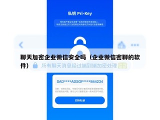 聊天加密企业微信安全吗（企业微信密聊的软件）