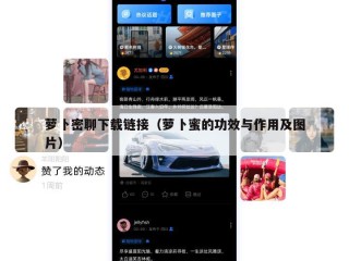 萝卜密聊下载链接（萝卜蜜的功效与作用及图片）