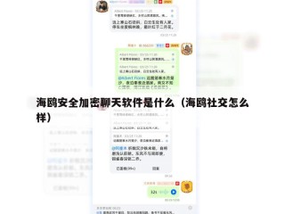 海鸥安全加密聊天软件是什么（海鸥社交怎么样）
