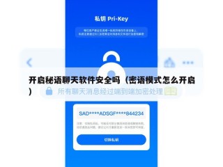 开启秘语聊天软件安全吗（密语模式怎么开启）