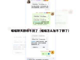 蝙蝠聊天群收不到了（蝙蝠怎么加不了群了）