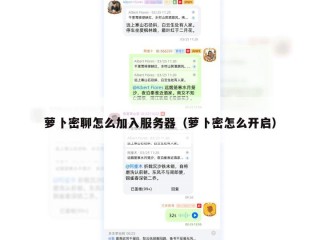 萝卜密聊怎么加入服务器（萝卜密怎么开启）