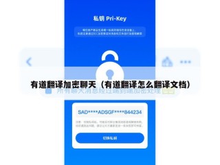 有道翻译加密聊天（有道翻译怎么翻译文档）