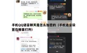 手机QQ语音聊天是怎么加密的（手机语音设置在哪里打开）