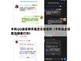 手机QQ语音聊天是怎么加密的（手机语音设置在哪里打开）