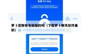 萝卜密聊有电脑版的吗（下载萝卜聊天软件兼职）