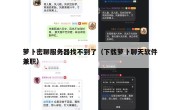 萝卜密聊服务器找不到了（下载萝卜聊天软件兼职）