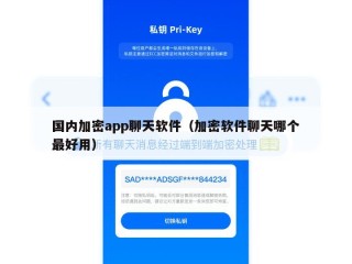 国内加密app聊天软件（加密软件聊天哪个最好用）
