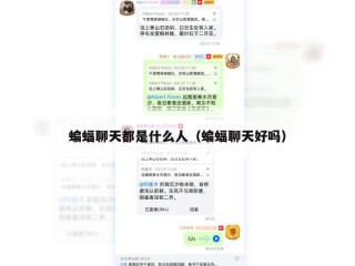 蝙蝠聊天都是什么人（蝙蝠聊天好吗）