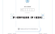 萝卜密聊不能录像（萝卜蜜百科）
