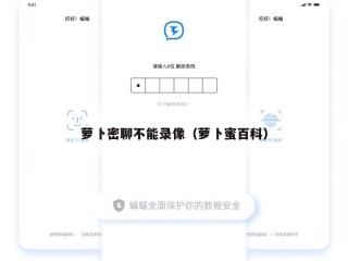 萝卜密聊不能录像（萝卜蜜百科）