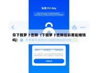 你下载萝卜密聊（下载萝卜密聊后彩票能赚钱吗）