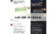 ios萝卜密聊（萝卜蜜怎么做）