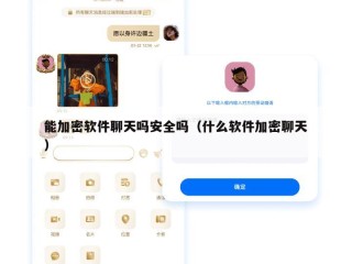 能加密软件聊天吗安全吗（什么软件加密聊天）