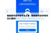 蝙蝠聊天软件暗号怎么看（蝙蝠聊天软件暗号怎么看的）