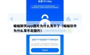 蝙蝠聊天app图片为什么发不了（蝙蝠软件为什么发不出图片）
