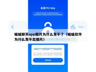 蝙蝠聊天app图片为什么发不了（蝙蝠软件为什么发不出图片）