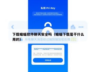 下载蝙蝠软件聊天安全吗（蝙蝠下载是干什么用的）