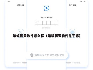 蝙蝠聊天软件怎么样（蝙蝠聊天软件是干嘛）