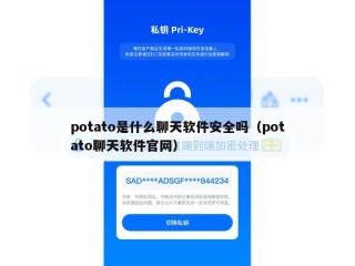 potato是什么聊天软件安全吗（potato聊天软件官网）
