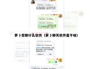 萝卜密聊什么软件（萝卜聊天软件是干啥）