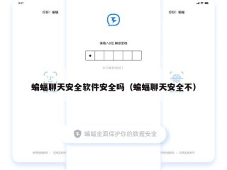 蝙蝠聊天安全软件安全吗（蝙蝠聊天安全不）