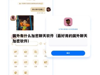 国外有什么加密聊天软件（最好用的国外聊天加密软件）