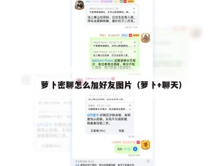 萝卜密聊怎么加好友图片（萝卜+聊天）