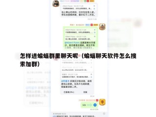 怎样进蝙蝠群里聊天呢（蝙蝠聊天软件怎么搜索加群）