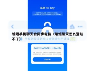 蝙蝠手机聊天会同步电脑（蝙蝠聊天怎么登陆不了）
