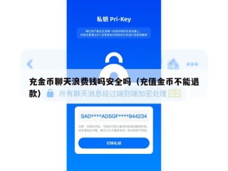 充金币聊天浪费钱吗安全吗（充值金币不能退款）
